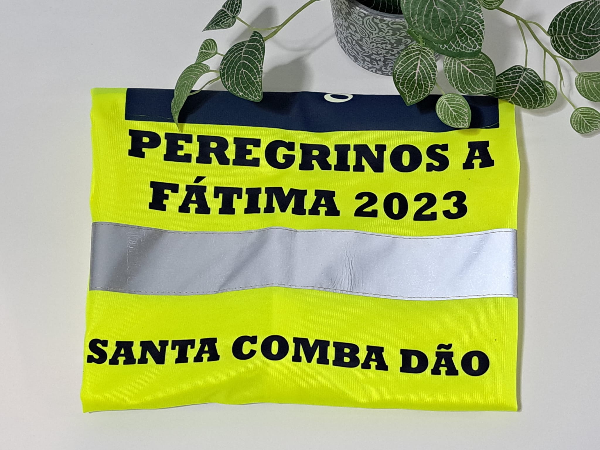 Têxtil